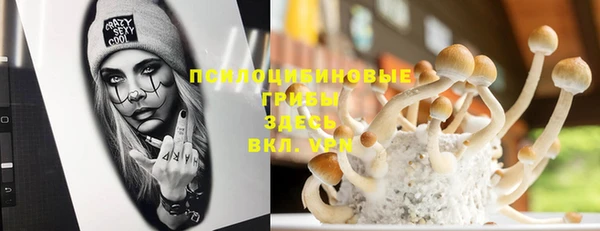 эйфоретик Новодвинск
