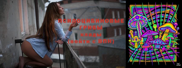 герыч Новокубанск