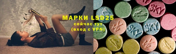 эйфоретик Новодвинск