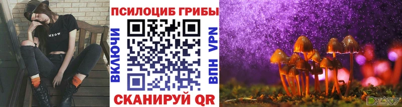Галлюциногенные грибы мицелий  где купить наркоту  Новоаннинский 