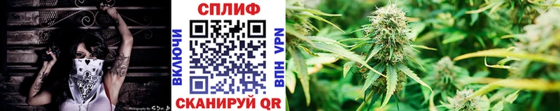 Каннабис гибрид  Новоаннинский 